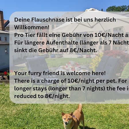 Ferienwohnung Zi2 - Urlaubsmagie - Whirlpool, Sauna Und Garten Sebnitz Exterior foto