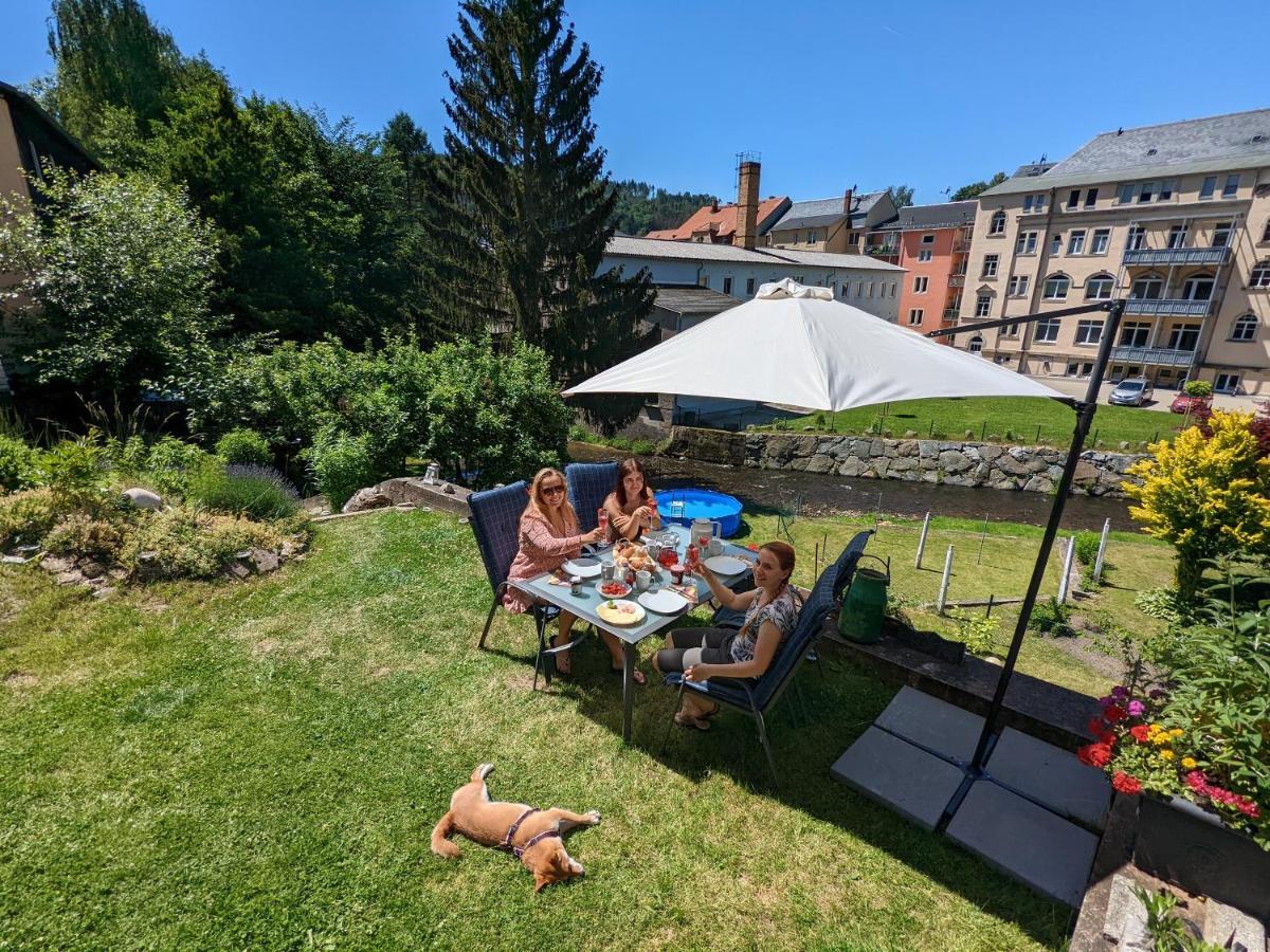 Ferienwohnung Zi2 - Urlaubsmagie - Whirlpool, Sauna Und Garten Sebnitz Exterior foto