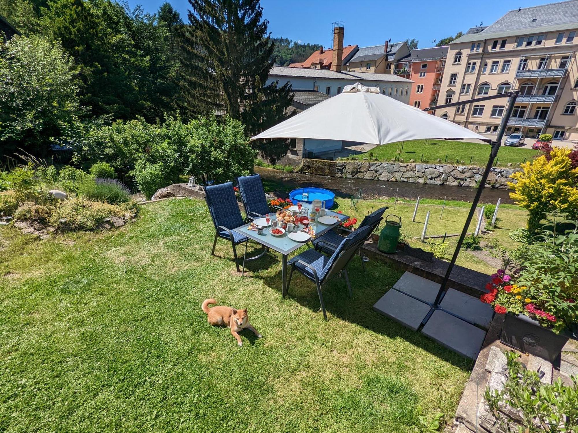 Ferienwohnung Zi2 - Urlaubsmagie - Whirlpool, Sauna Und Garten Sebnitz Exterior foto