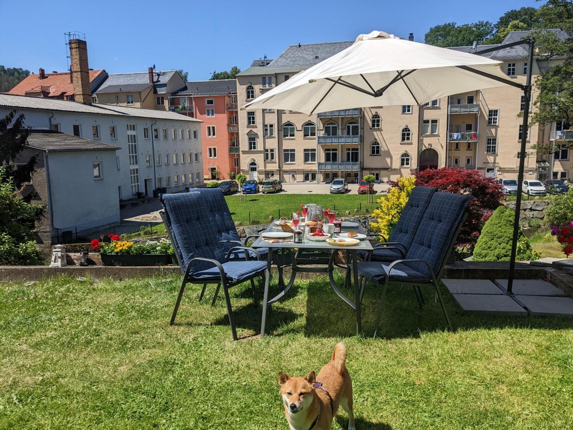Ferienwohnung Zi2 - Urlaubsmagie - Whirlpool, Sauna Und Garten Sebnitz Exterior foto