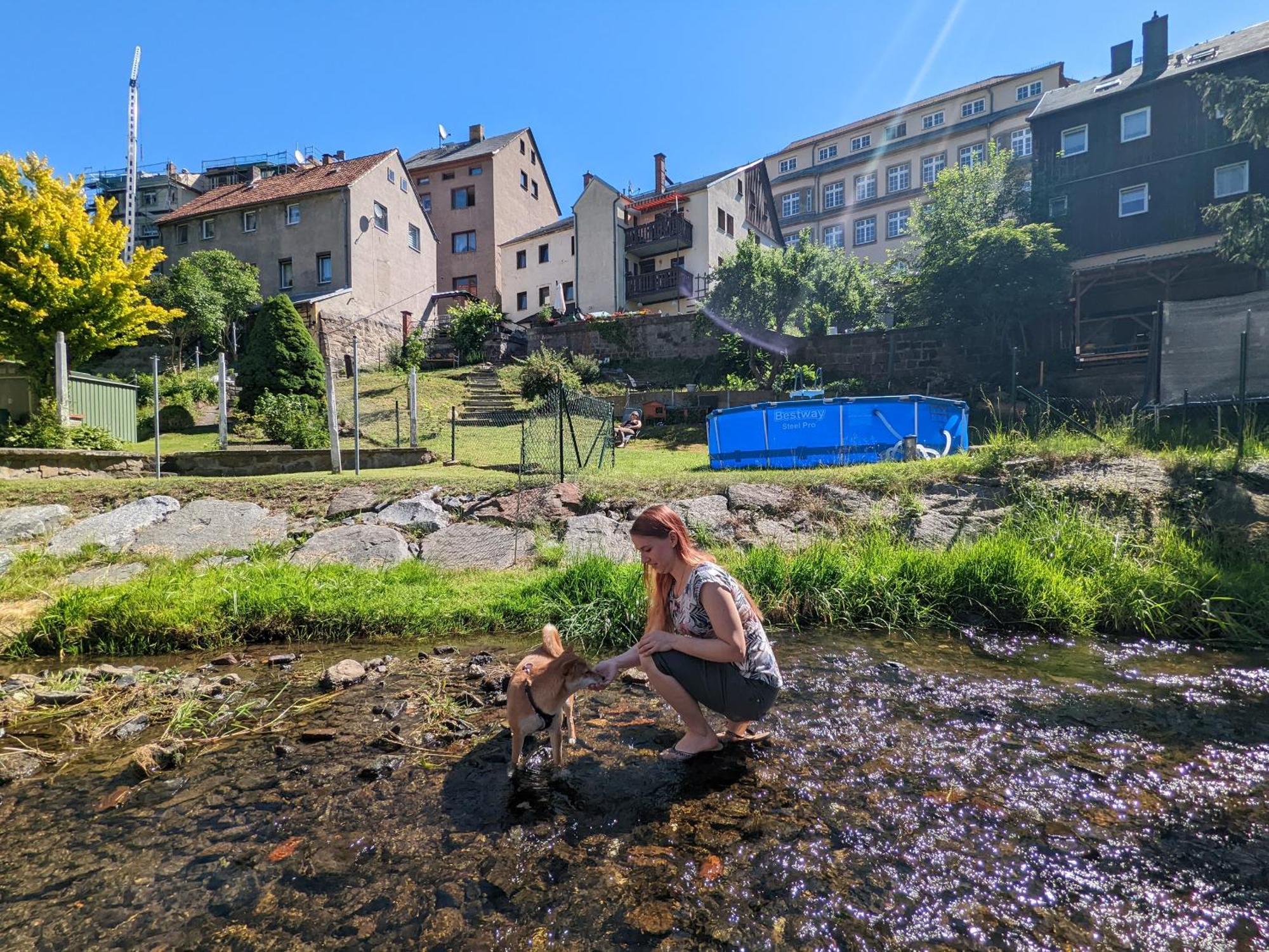 Ferienwohnung Zi2 - Urlaubsmagie - Whirlpool, Sauna Und Garten Sebnitz Exterior foto